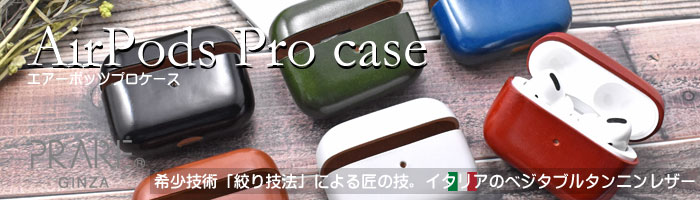 AirPods Pro Leathercase KICS（エアーポッツプロ　レザーケース） 「プレリーギンザ」 NP71398 タイトル画像